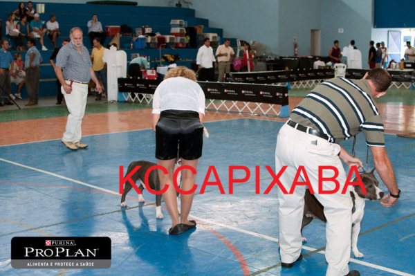 Clique sobre a foto para fechar